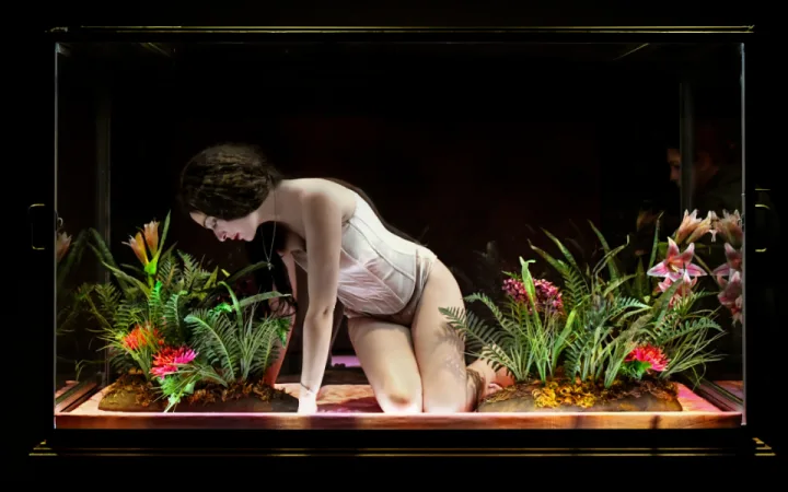 Amalia Melancholia